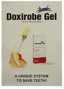Doxirobe antibiotic gel